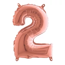 10580232RG-P 10580232RG-P