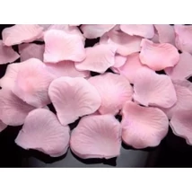 10020PLRD100-081