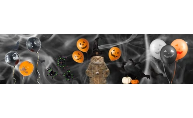 Kísérteties hangulat pillanatok alatt: Halloween dekor tippek és kellékek