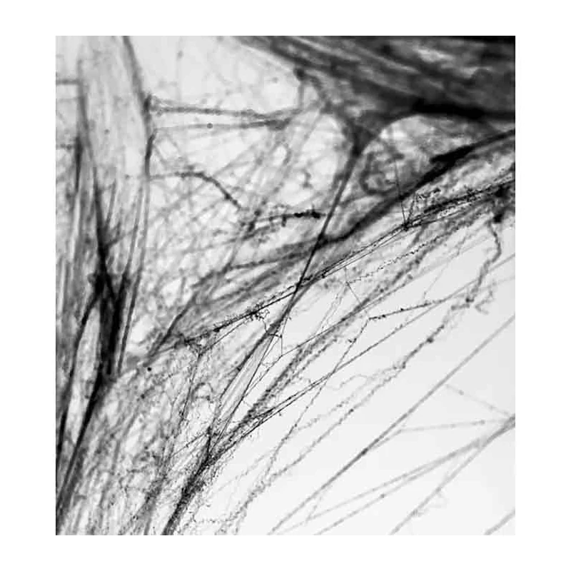 10020PH60-010