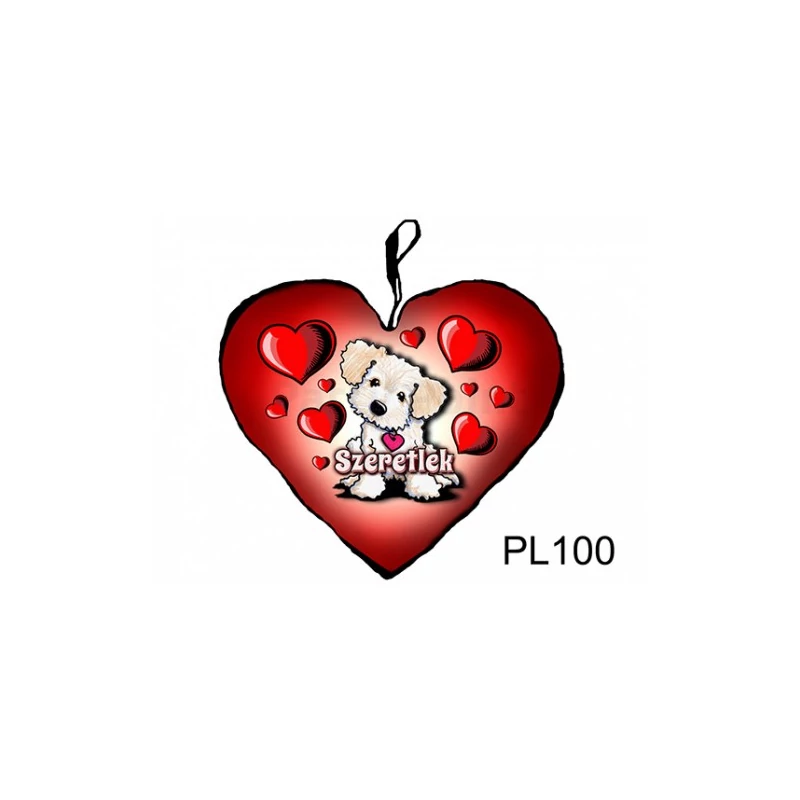20030PL100