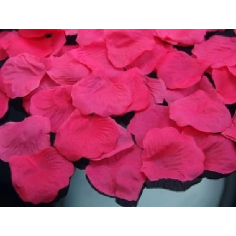 10020PLRD100-006