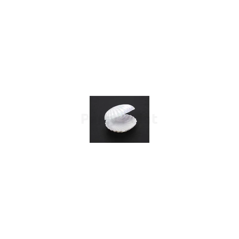 10130559600