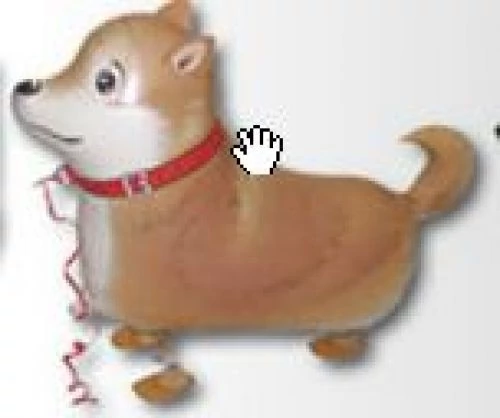 Sétáló shiba-inu fólia lufi
