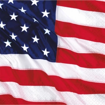 USA papír szalvéta 33 x 33 cm 16 db/cs