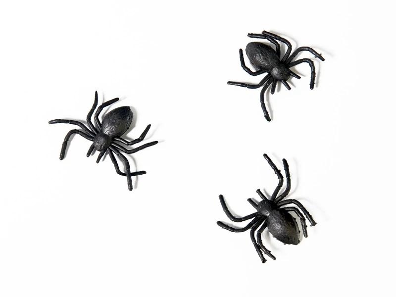 Pók formájú konfetti 3,5 x 3,5 cm - 10 db