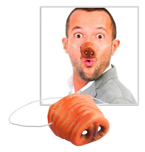 Röfiorr