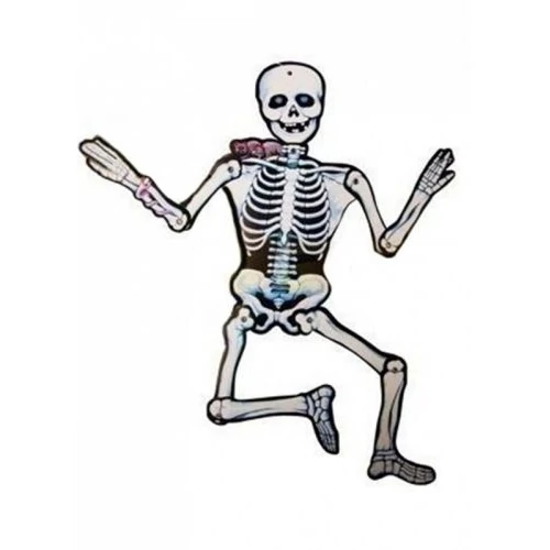 Papír csontváz