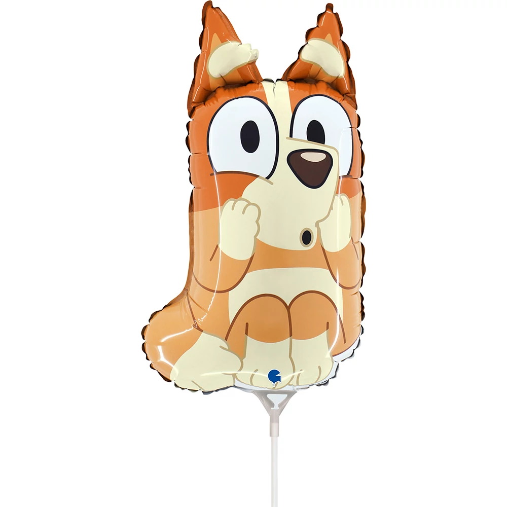 Mini - Bluey Bingo fólia lufi