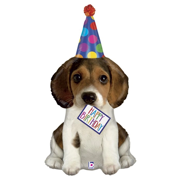 104 cm-es kutyus csákóval Happy Birthday fólia lufi