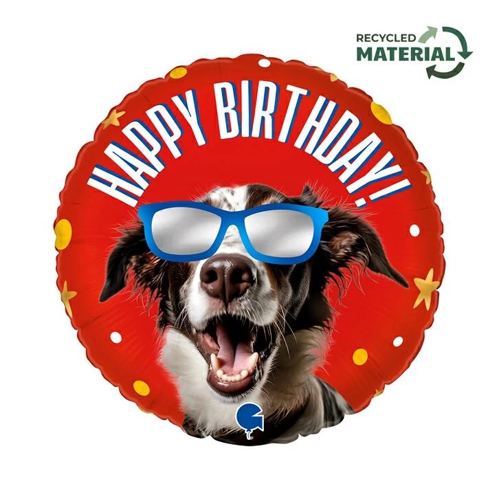 46 cm-es kutyus napszemcsiben Happy Birthday fólia lufi